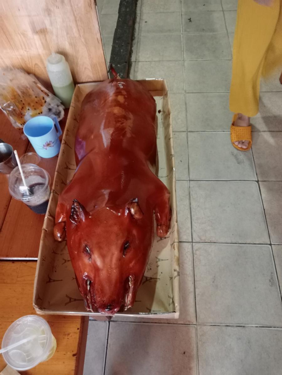 Lò quay Đà Lạt Heo quay Vị quay Gà quay ngon chât lượng đươc ưa thích 2022-08-31 10:19:35